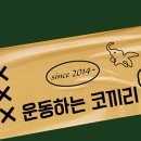 운동하는 코끼리 이미지