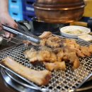 댕댕맛집 이미지