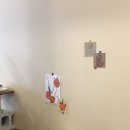 애니카랜드 신기점 이미지