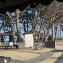 두모바람한옥 | [남해] 한옥카페 '화소반' 말차유자빙수 &amp; 팥라떼 후기