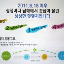 만복미역 이미지