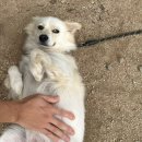 장사해수욕장관광지 이미지