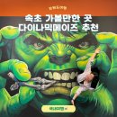 88게임장 - 1610 | 꿀잼 보장 액티비티! 속초 놀거리 다이나믹메이즈 추천 하는 이유
