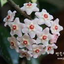 느린 달팽이 이미지