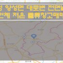 [안성 물류창고매매] 안성 양성면 물류창고매매 / 전체 저온창고매매 / 대로변 접근성 좋은 물류센터매매 이미지
