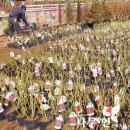 사계영농조합 이미지