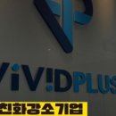 비비드주 이미지