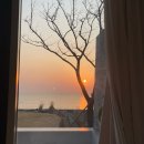 해온안 | 경북 영덕 풀빌라 오션뷰 독채 해온안 B동 후기 (해돋이, 바베큐O)