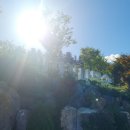 작은나무숲 | 서울 근교 가을에 가볼만한 곳 &#39;용인 자작나무숲&#39; 방문후기