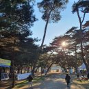 밀양유원지야영장 이미지