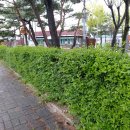 노촌경로당 이미지