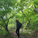 휴양림로 이미지