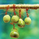 [[食品醫藥의道]][식품과 의약의 도를 말하다 [개미] 개미는 불로장생의 묘약 - 최진규 약초학자 이미지