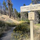 09-14-2024 Will Thrall Peak from Buckhorn Camping Ground 이미지