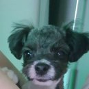 플레이독 남양주점 이미지