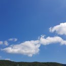 문동마을회관 | 거제맛집 : 문동맛집 대나무마을회관 + 고현카페 마마카카