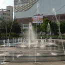 도심공원 이미지