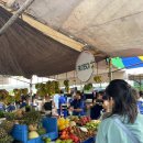 연수전문약국 | 필리핀 올티가스 5달 살기 (영어연수)-(1) 꿀팁과 후기