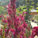 흙집정원 이미지