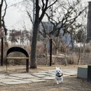 로그인마트안성대천점 | [안성 스타필드] 일렉트로마트 갤럭시 북 5 pro 내돈 내산 후기! 16인치 실버 컬러 NT960XHA-KD72S