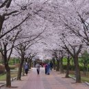 원적산공원 이미지