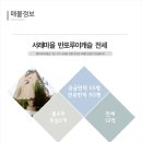 루이공인중개사사무소 이미지