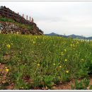 평사1리 이미지