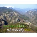 제271차 정기산행 고창 선운산/수리봉(336m) =100대명산= *호남의 내금강 / 기암괴석과 환상의 꽃무릇 감상* 산행공지 2016.09.25. 05:00출발 이미지