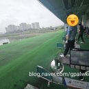 제일골프연습장 | 용인 골프연습 기흥수상골프연습장 방문 후기