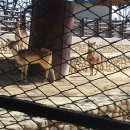 달성공원 이미지