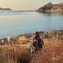 전막2,3길 테마거리 | 군산 애견동반 여행 1박 2일 코스 강아지랑 갈만한곳 공유