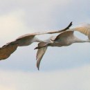 (주)백학 이미지