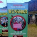 빨간사과농장