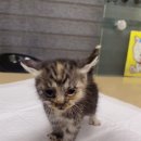 신일정비공업사 이미지