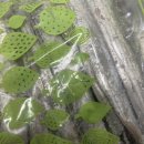 진도생선마을 이미지