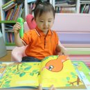 꼭꼭 숨어라 동물들아 이미지