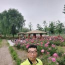 장미원 당구장 이미지