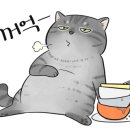 한티불낙식당 네이버블로그