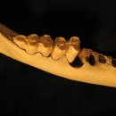 길치과의원 이미지