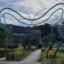 불암산 순환산책로 이미지