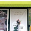 올가스킨케어 이미지
