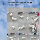 호두네 맡겨보개 이미지