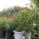 만물농원 이미지