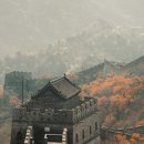 인체정화이야기
