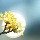 선기로1-3 이미지