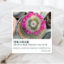 경북꽃집 - 고령군 월기1길 1 | [경북] 왜관꽃집 다육그리고꽃 솔직후기 🌿💐
