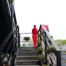 기장미역다시마축제 이미지