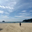 태안휴게소 | 충남여행 당진 서산 태안 3일차 연포해변 행담도휴게소 마지막 후기