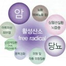 셀레늄관리실