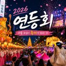 뮤직오브락樂 콘서트 | 260516 서울 한복판에서 열린 부처님 생일 파티 : 2026 연등회 후기 🏮
